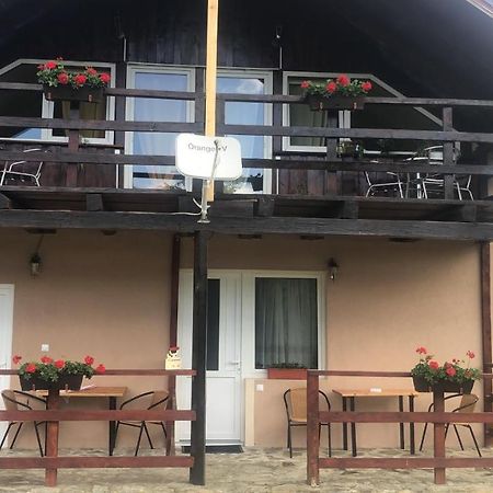 Casa Albert Valea Avrigului Εξωτερικό φωτογραφία