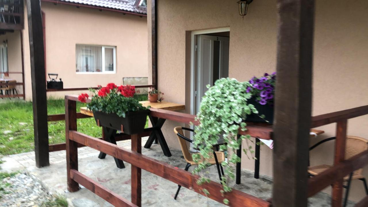 Casa Albert Valea Avrigului Εξωτερικό φωτογραφία