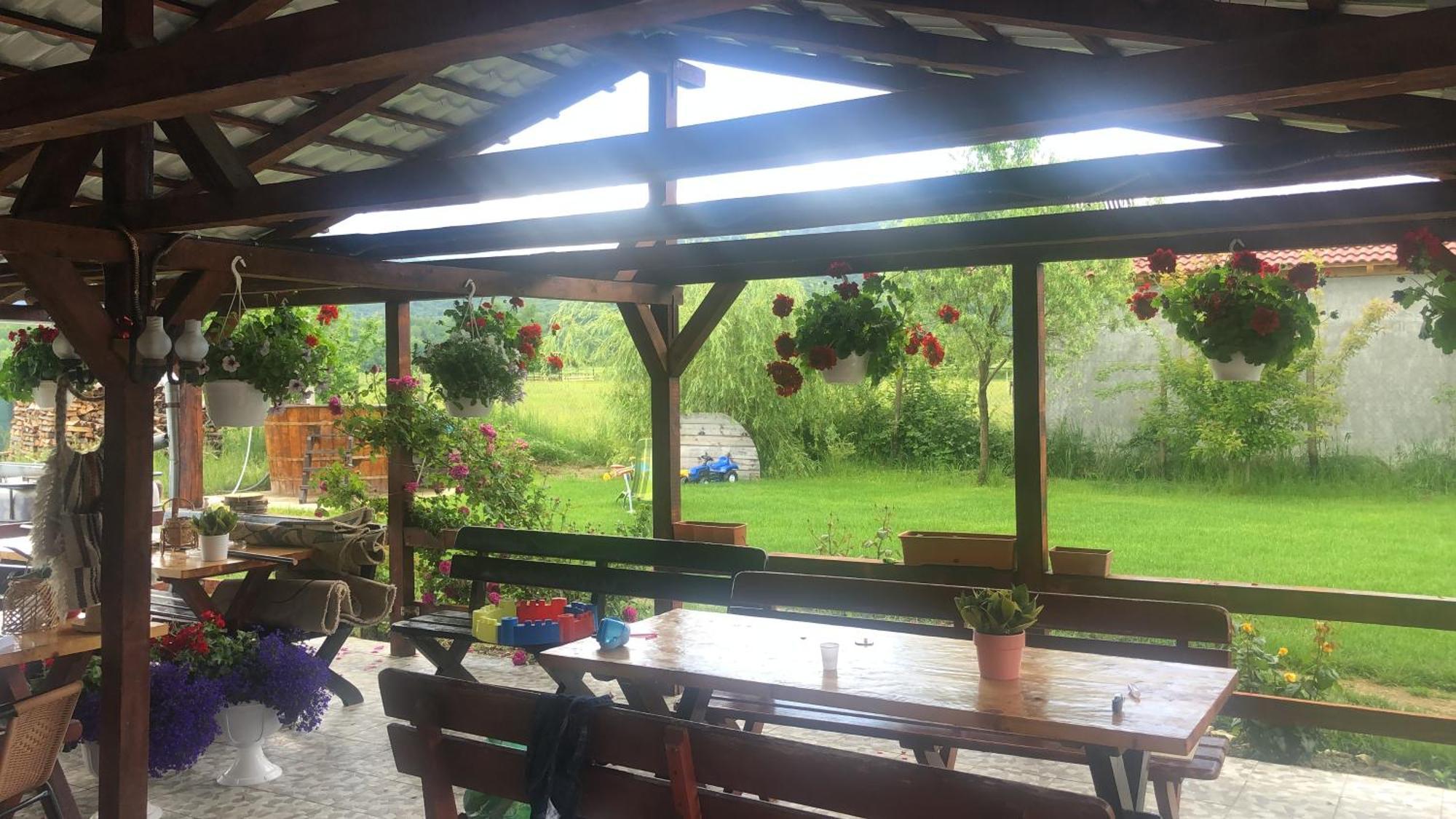 Casa Albert Valea Avrigului Εξωτερικό φωτογραφία